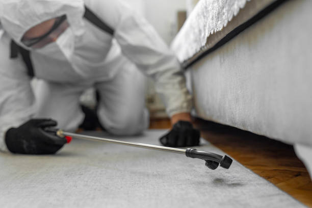 Professional Bed Bug Control technician working in Lake Caroline, VA