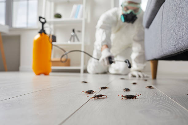 Trusted Fumigation Services service in Lake Caroline, VA - Nex Pest Control
