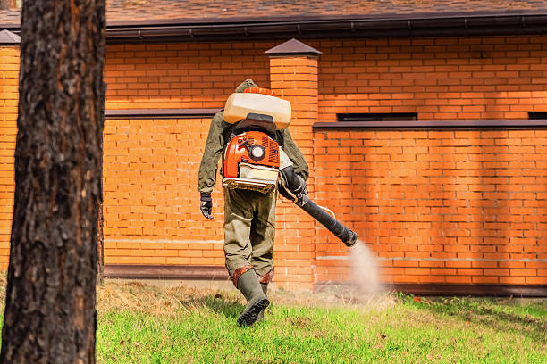 Trusted Cockroach Control service in Lake Caroline, VA - Nex Pest Control